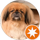 Cuna Bulalapidem profile picture