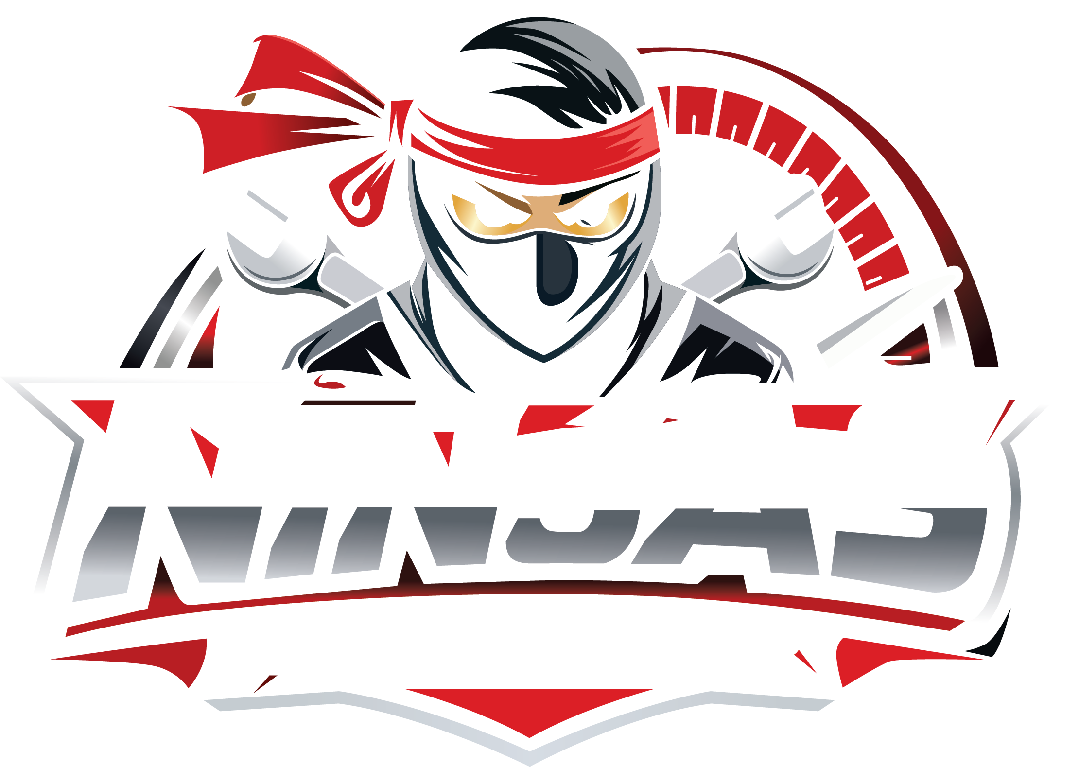 Ninja 222